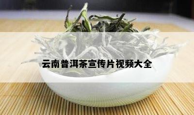 云南普洱茶宣传片视频大全