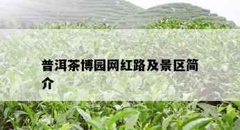 普洱茶博园网红路及景区简介