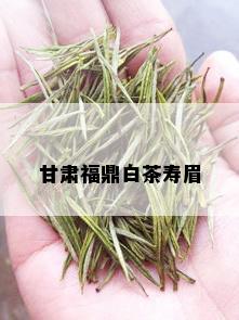 甘肃福鼎白茶寿眉