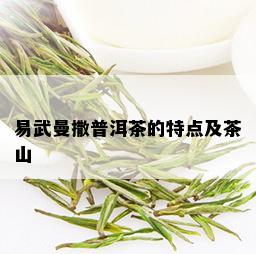 易武曼撒普洱茶的特点及茶山