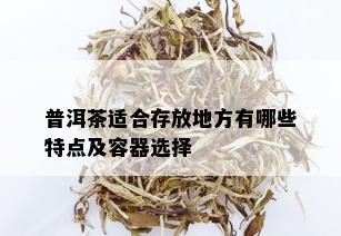 普洱茶适合存放地方有哪些特点及容器选择