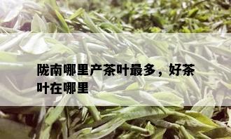 陇南哪里产茶叶最多，好茶叶在哪里