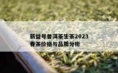 新益号普洱茶生茶2023春茶价格与品质分析