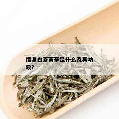 福鼎白茶茶毫是什么及其功效？