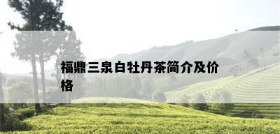 福鼎三泉白牡丹茶简介及价格