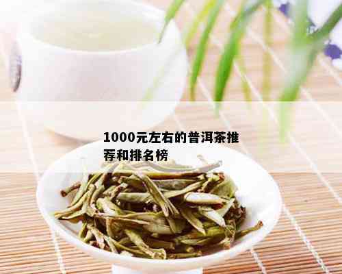 1000元左右的普洱茶推荐和排名榜