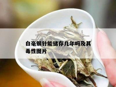 白毫银针能储存几年吗及其性图片