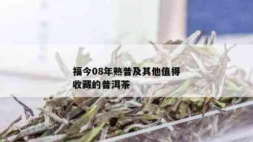 福今08年熟普及其他值得收藏的普洱茶