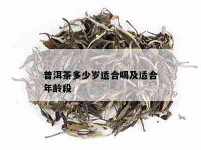 普洱茶多少岁适合喝及适合年龄段