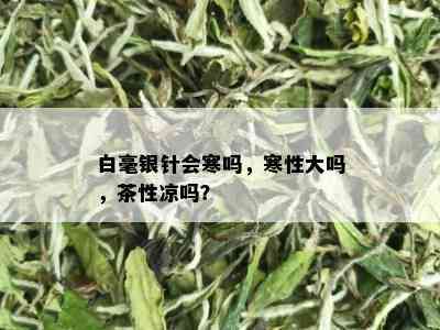 白毫银针会寒吗，寒性大吗，茶性凉吗？