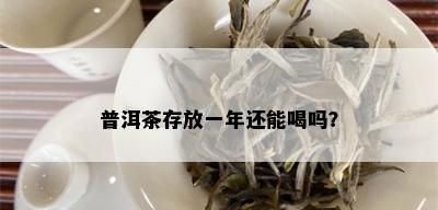 普洱茶存放一年还能喝吗？