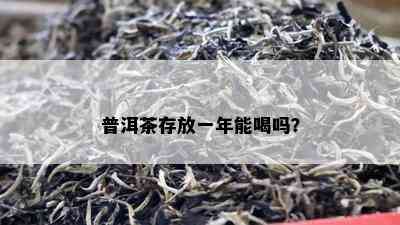 普洱茶存放一年能喝吗？