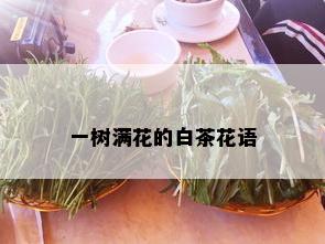 一树满花的白茶花语