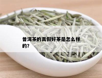 普洱茶的真假好茶是怎么样的？