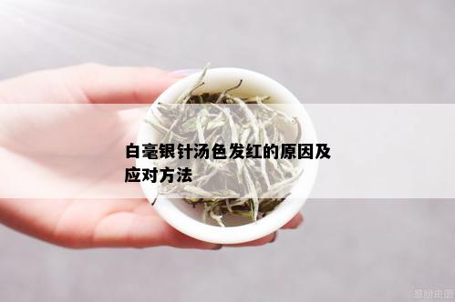 白毫银针汤色发红的原因及应对方法