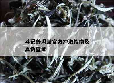 斗记普洱茶官方冲泡指南及真伪查证