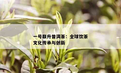 一号联升普洱茶：全球饮茶文化传承与创新