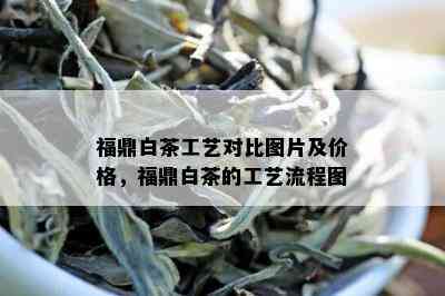 福鼎白茶工艺对比图片及价格，福鼎白茶的工艺流程图