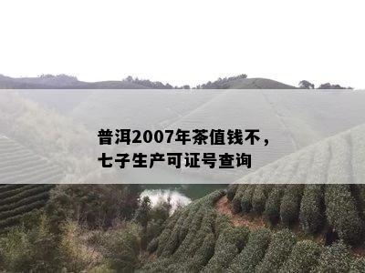 普洱2007年茶值钱不，七子生产可证号查询