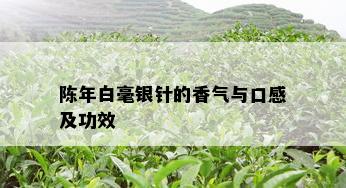 陈年白毫银针的香气与口感及功效