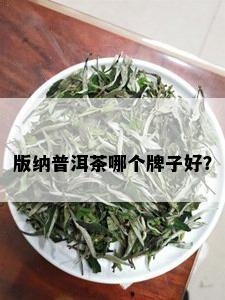 版纳普洱茶哪个牌子好？