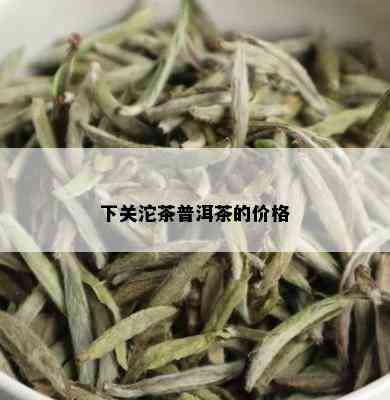 下关沱茶普洱茶的价格