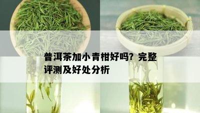 普洱茶加小青柑好吗？完整评测及好处分析