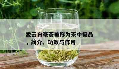 凌云白毫茶被称为茶中极品，简介、功效与作用