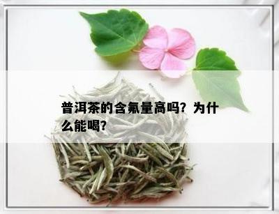 普洱茶的含氟量高吗？为什么能喝？