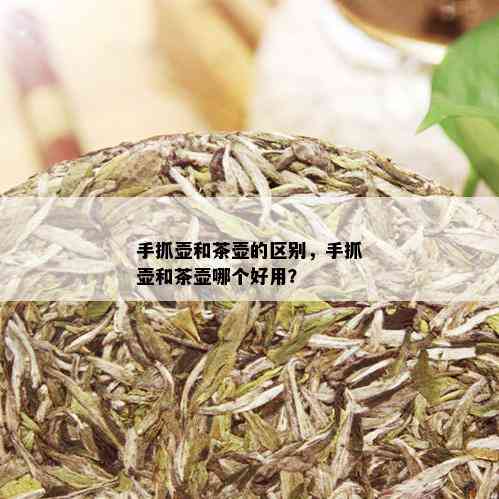 手抓壶和茶壶的区别，手抓壶和茶壶哪个好用？