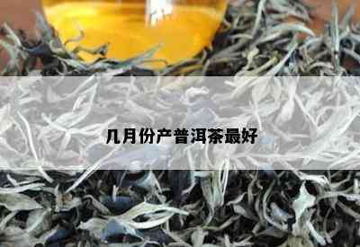 几月份产普洱茶更好