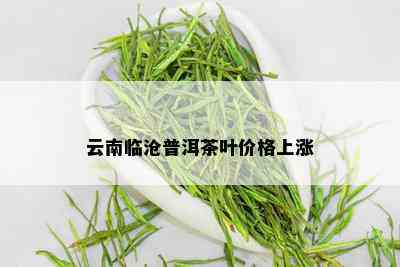 云南临沧普洱茶叶价格上涨