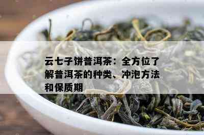 云七子饼普洱茶：全方位了解普洱茶的种类、冲泡方法和保质期