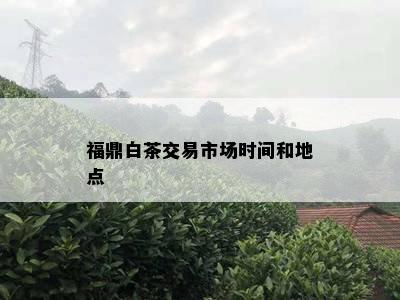 福鼎白茶交易市场时间和地点