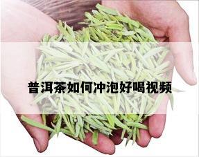 普洱茶如何冲泡好喝视频