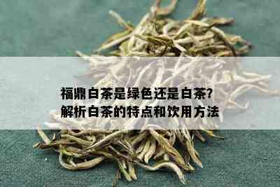 福鼎白茶是绿色还是白茶？解析白茶的特点和饮用方法