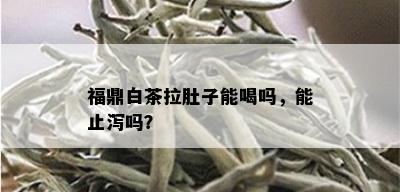 福鼎白茶拉肚子能喝吗，能止泻吗？