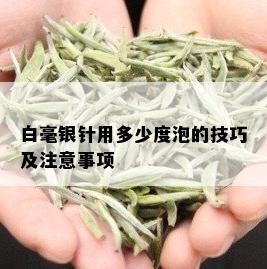 白毫银针用多少度泡的技巧及注意事项