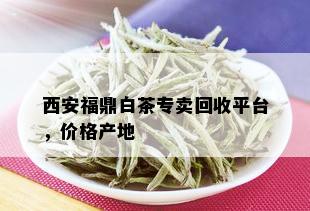 西安福鼎白茶专卖回收平台，价格产地