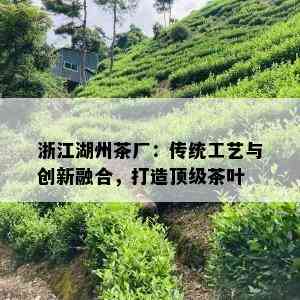 浙江湖州茶厂：传统工艺与创新融合，打造顶级茶叶