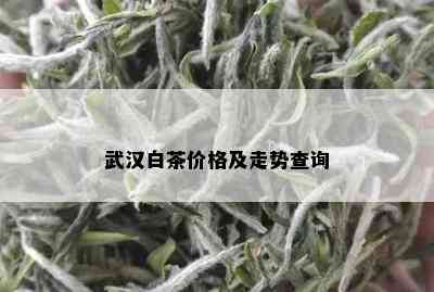 武汉白茶价格及走势查询