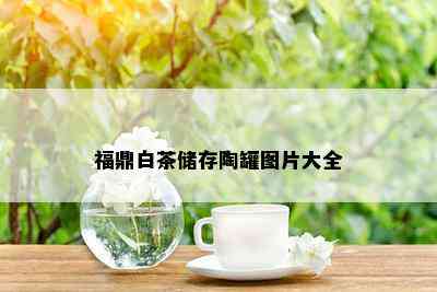 福鼎白茶储存陶罐图片大全