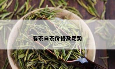 春茶白茶价格及走势