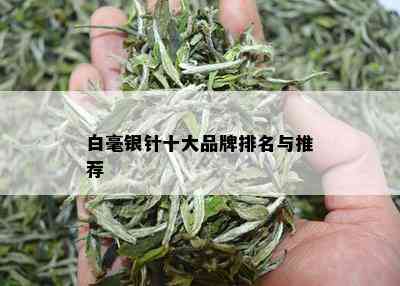 白毫银针十大品牌排名与推荐