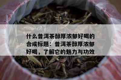 什么普洱茶醇厚浓郁好喝的合成标题：普洱茶醇厚浓郁好喝，了解它的魅力与功效