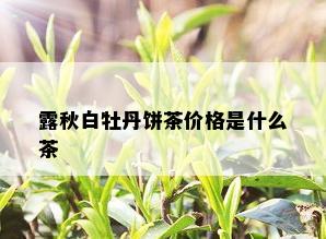 露秋白牡丹饼茶价格是什么茶