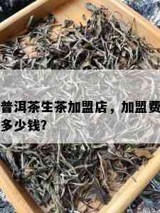 普洱茶生茶加盟店，加盟费多少钱？