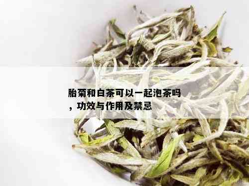 胎菊和白茶可以一起泡茶吗，功效与作用及禁忌