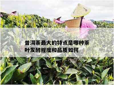 普洱茶更大的特点是哪种茶叶发酵程度和品质如何