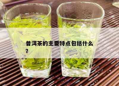 普洱茶的主要特点包括什么？